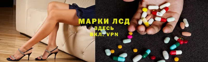 Где купить наркоту Кондопога MDMA  COCAIN  ГАШИШ  МАРИХУАНА  A PVP  Амфетамин 