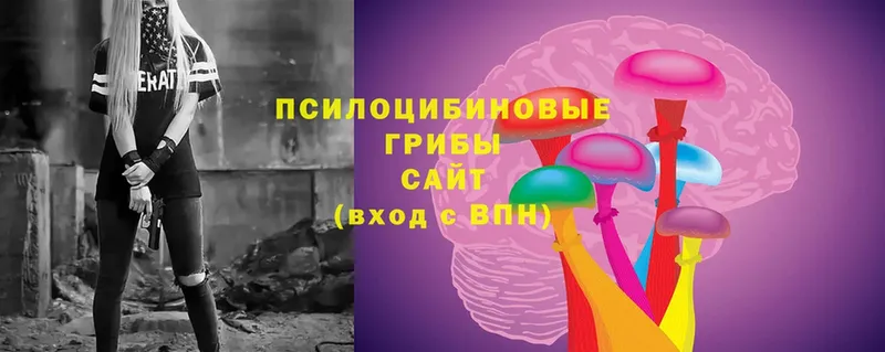 Галлюциногенные грибы Psilocybe  shop формула  Кондопога 